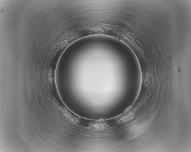 X0000059810466200510211121