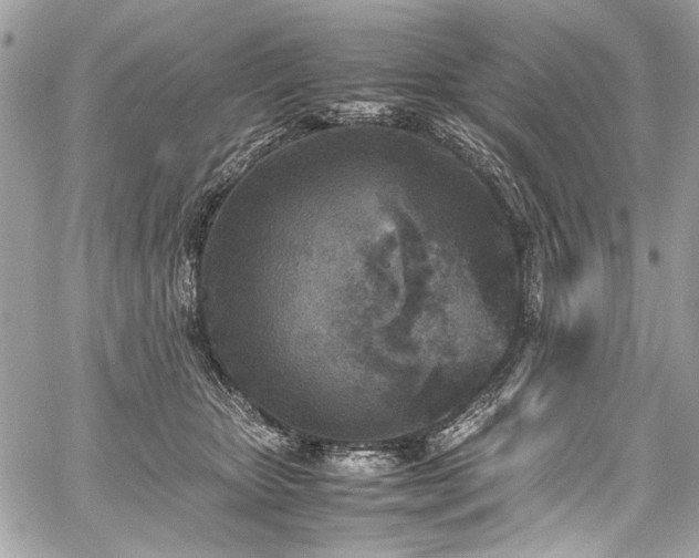 X0000059810467200510211121