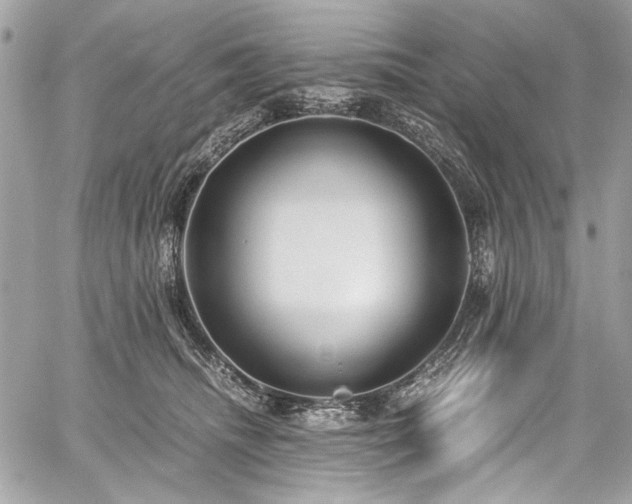 X0000059810468200510211121