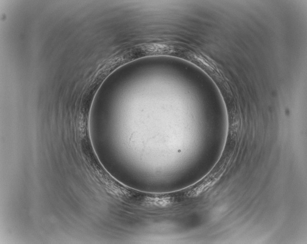 X0000059810469200510211121