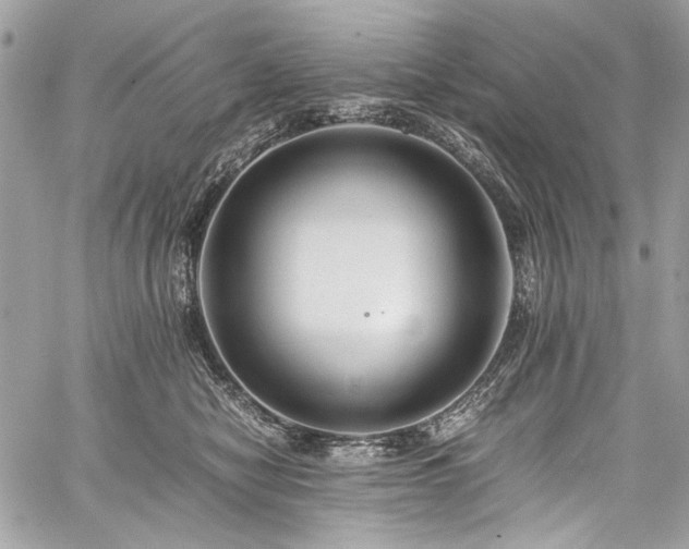 X0000059810470200510211121