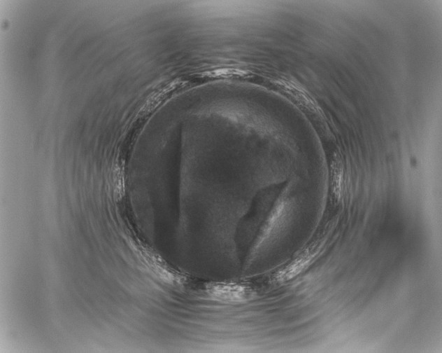 X0000059810471200510211121