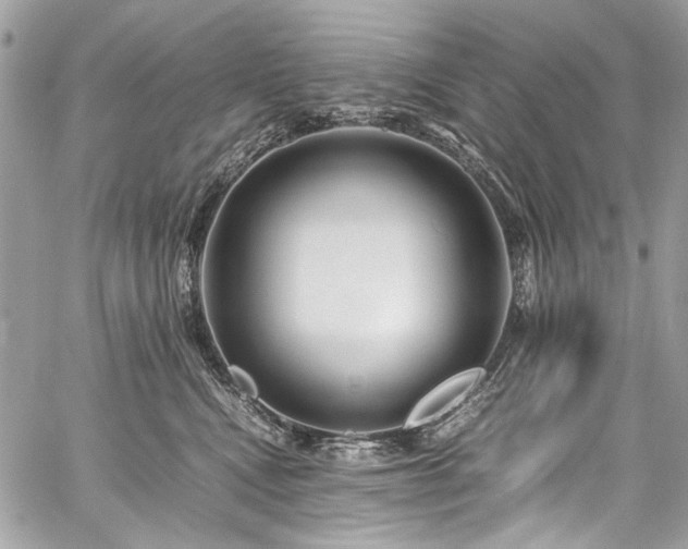 X0000059810472200510211121