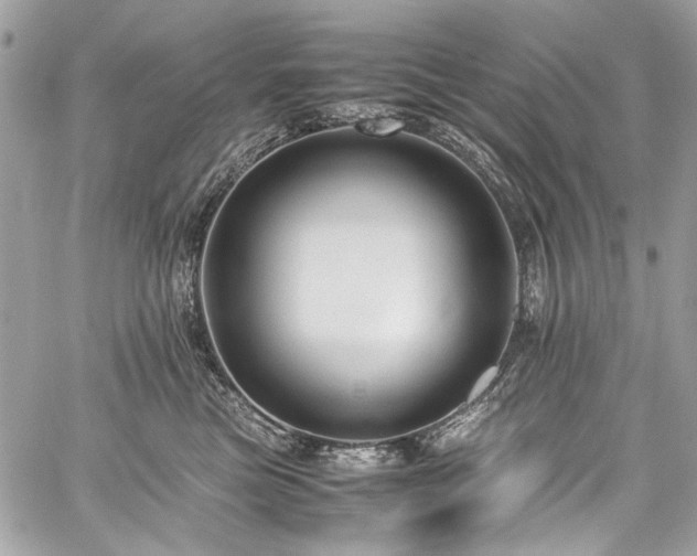 X0000059810473200510211121