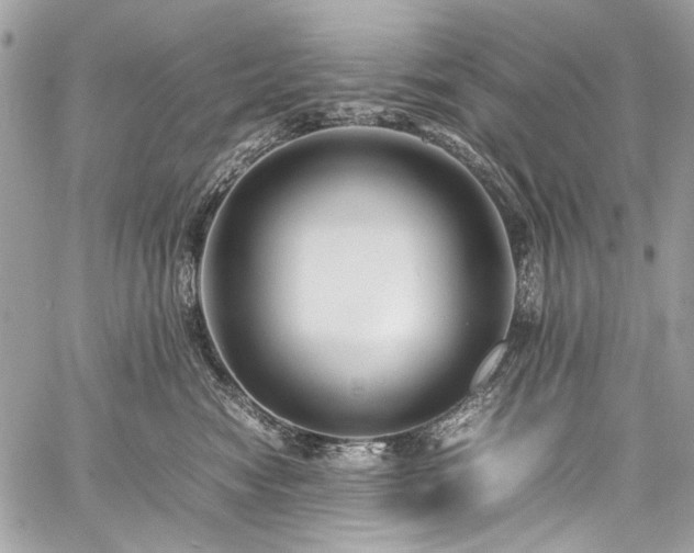 X0000059810474200510211121