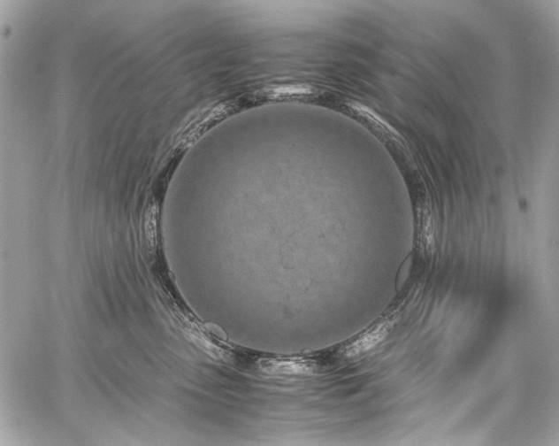 X0000059810475200510211121