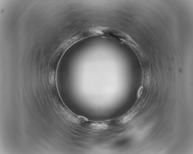 X0000059810477200510211121