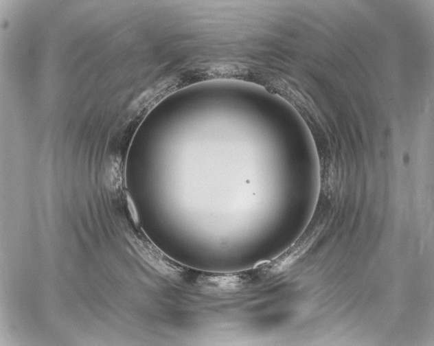 X0000059810478200510211121