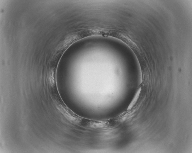 X0000059810479200510211121