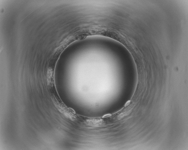 X0000059810480200510211121