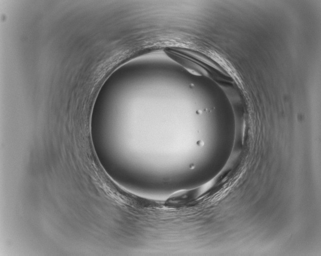 X0000059810481200510211120