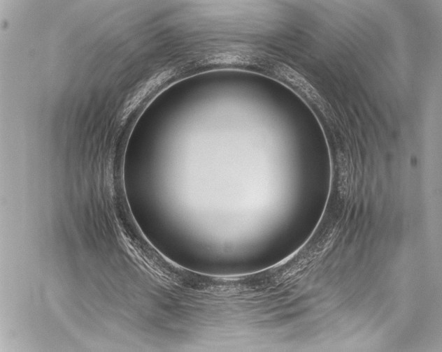 X0000059810482200510211120