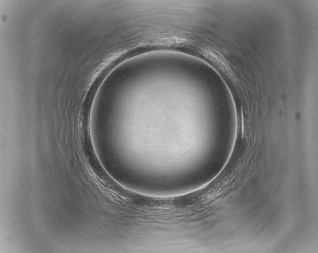 X0000059810483200510211120