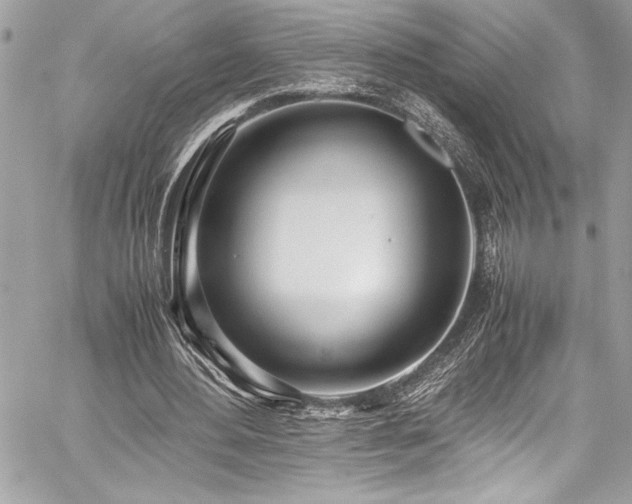 X0000059810484200510211120