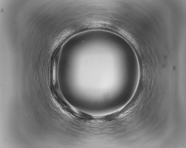 X0000059810485200510211120