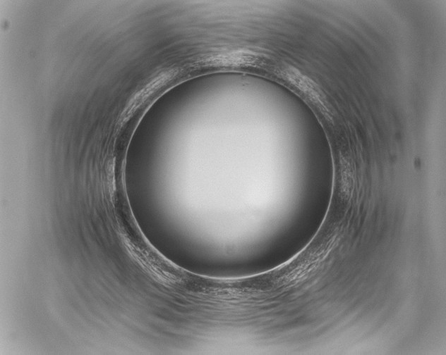 X0000059810486200510211120