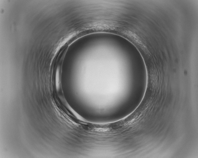 X0000059810488200510211120