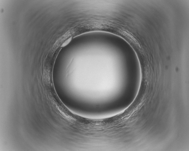 X0000059810489200510211120