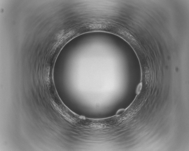 X0000059810490200510211120