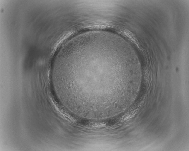 X0000059810491200510211120