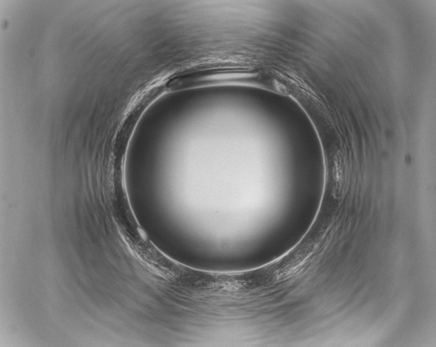 X0000059810492200510211120