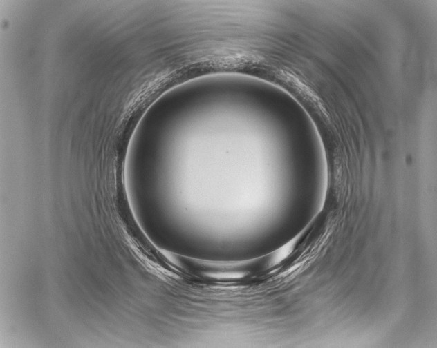 X0000059810493200510211120