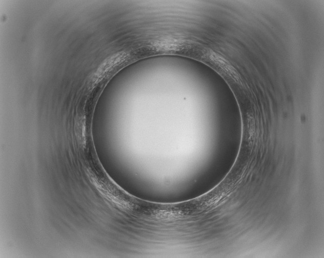 X0000059810494200510211120