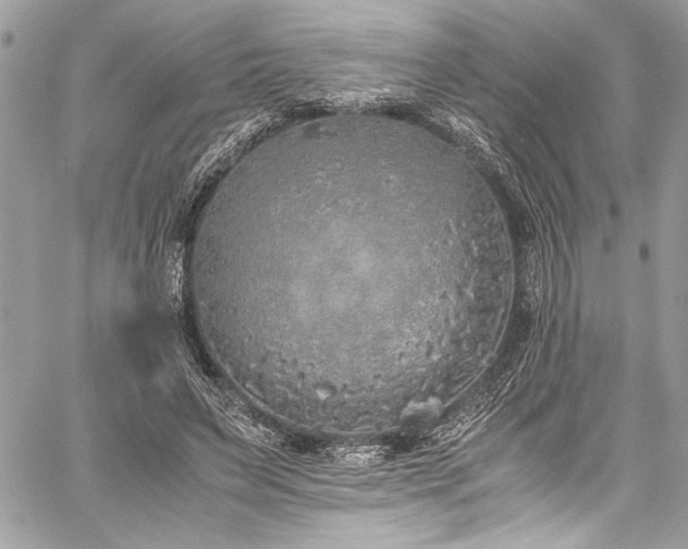 X0000059810495200510211120