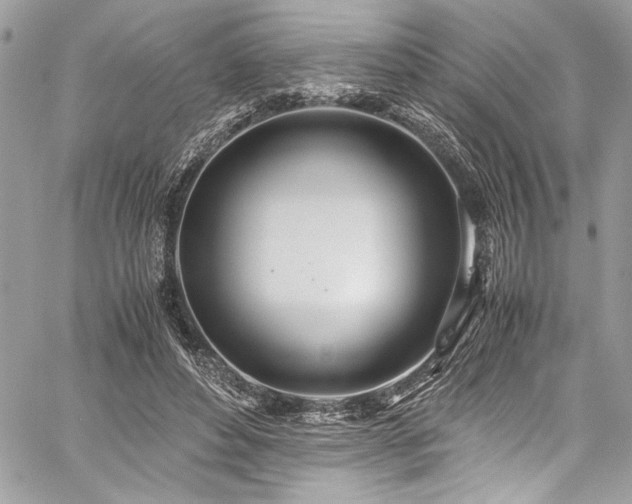 X0000059810496200510211120