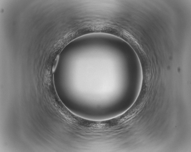 X0000059810497200510211120