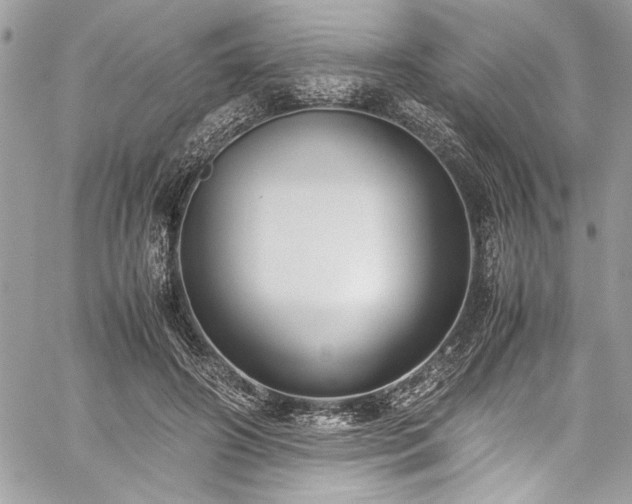 X0000059810498200510211120