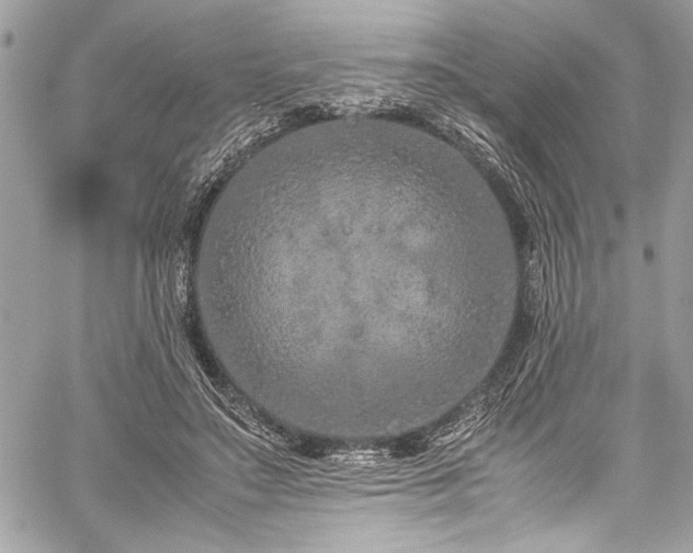 X0000059810499200510211120