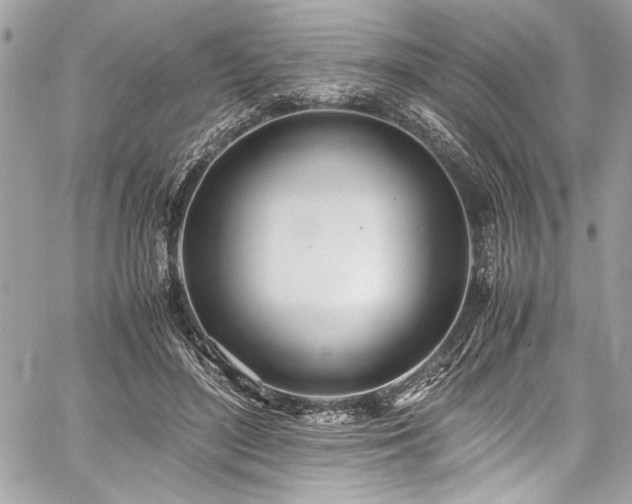 X0000059810500200510211120