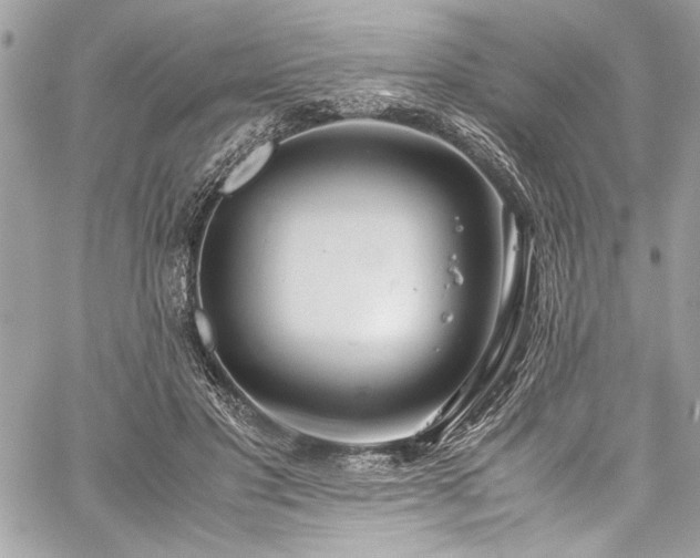 X0000059810501200510211120