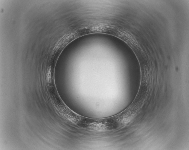 X0000059810502200510211120