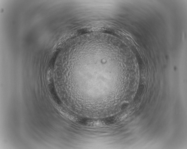 X0000059810503200510211120