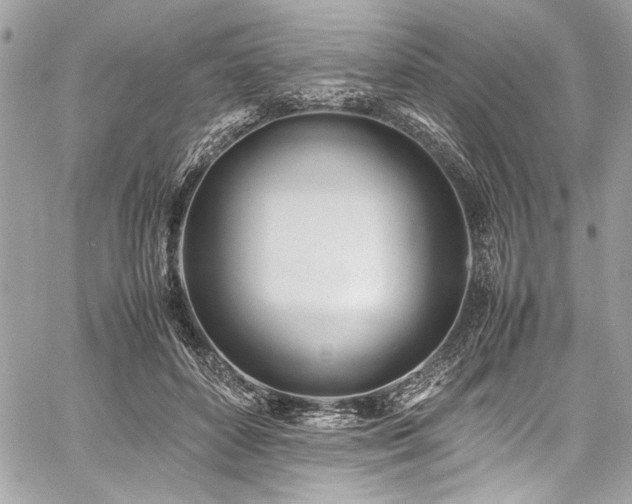 X0000059810504200510211120