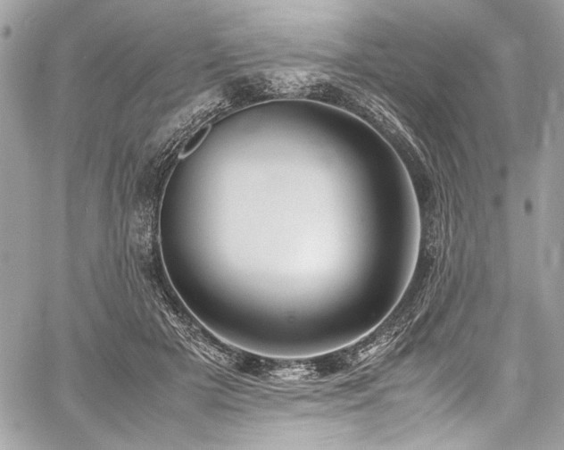 X0000059810505200510211120