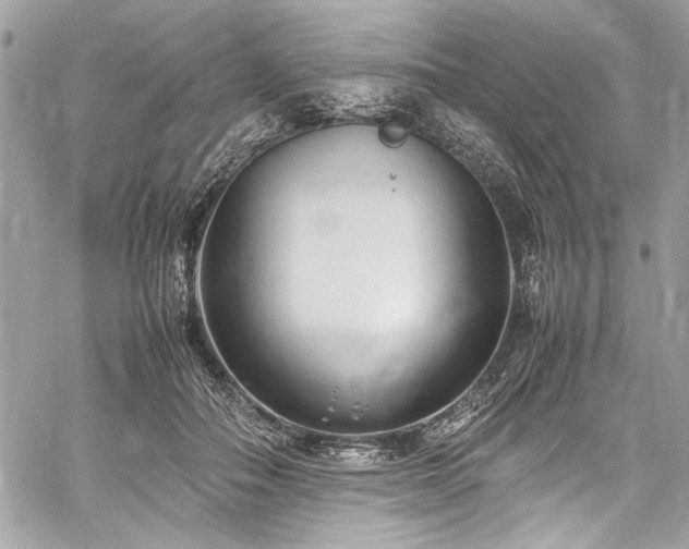 X0000059810506200510211120