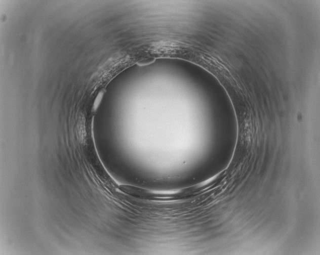 X0000059810508200510211120