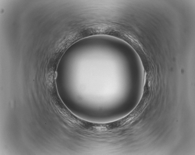 X0000059810509200510211120