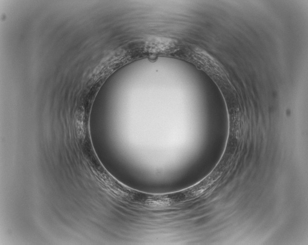 X0000059810510200510211120