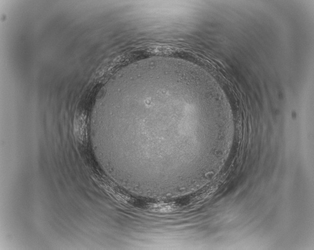 X0000059810511200510211120