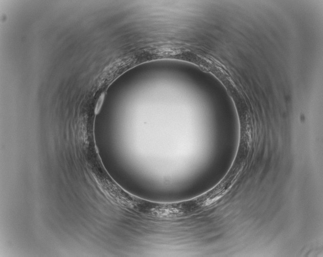 X0000059810512200510211120