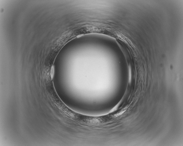 X0000059810513200510211120