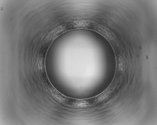 X0000059810514200510211120