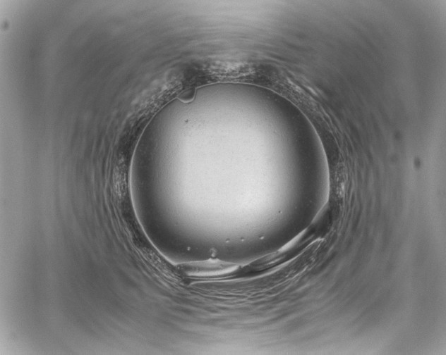 X0000059810515200510211120