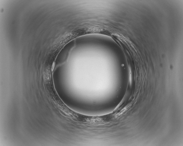 X0000059810517200510211120