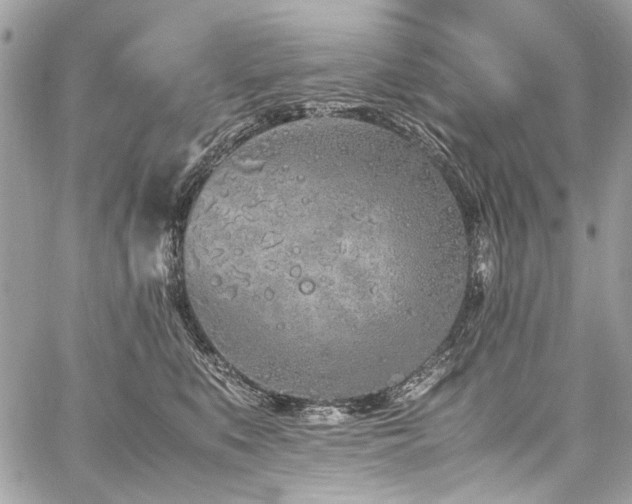 X0000059810519200510211120