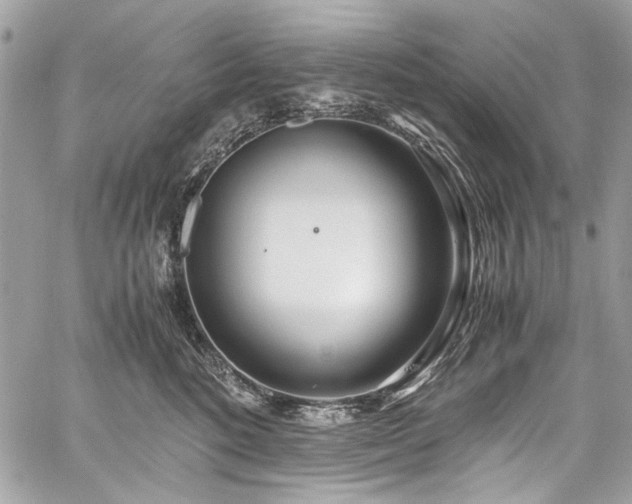 X0000059810520200510211120